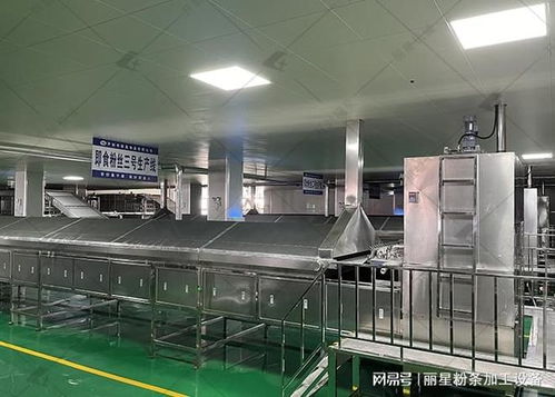 麗星桶裝粉絲粉餅生產設備 核心優勢解析與規?；a落地實踐